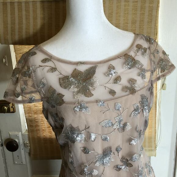 CALVIN KLEIN Embroidered Gown Blush Pink Sz 4 Floor Length Dress Cap Sleeve Prom - Picture 4 of 16